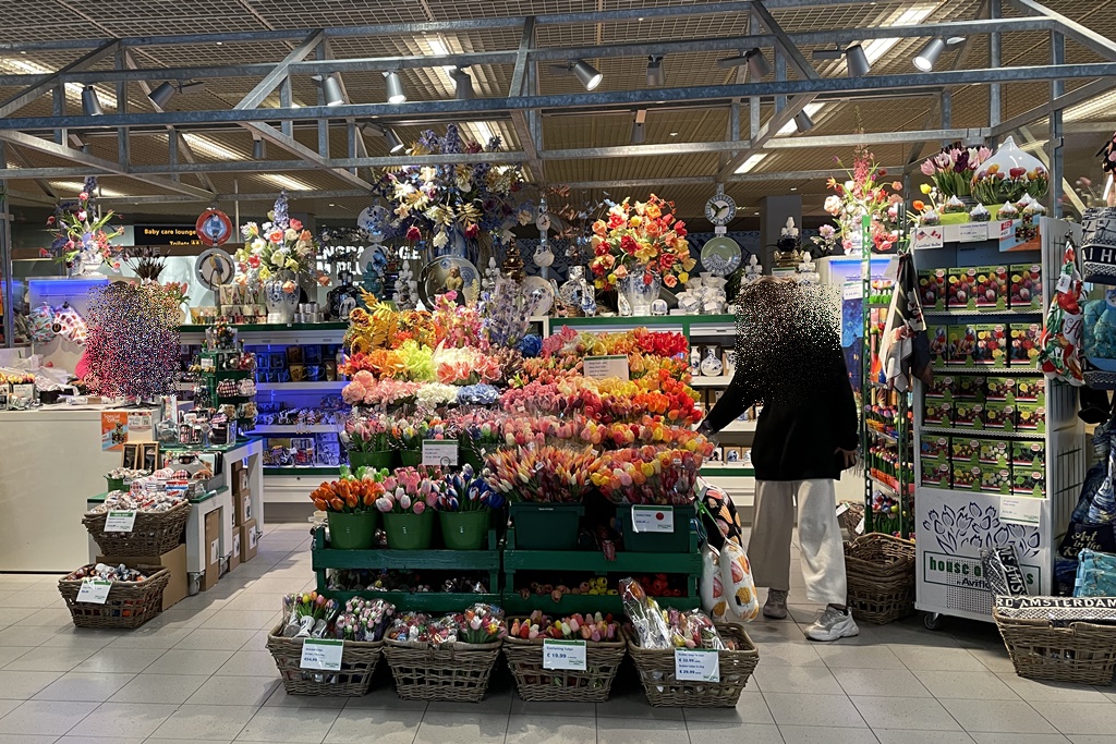 Tulips at Schiphol Airport (Amsterdam)